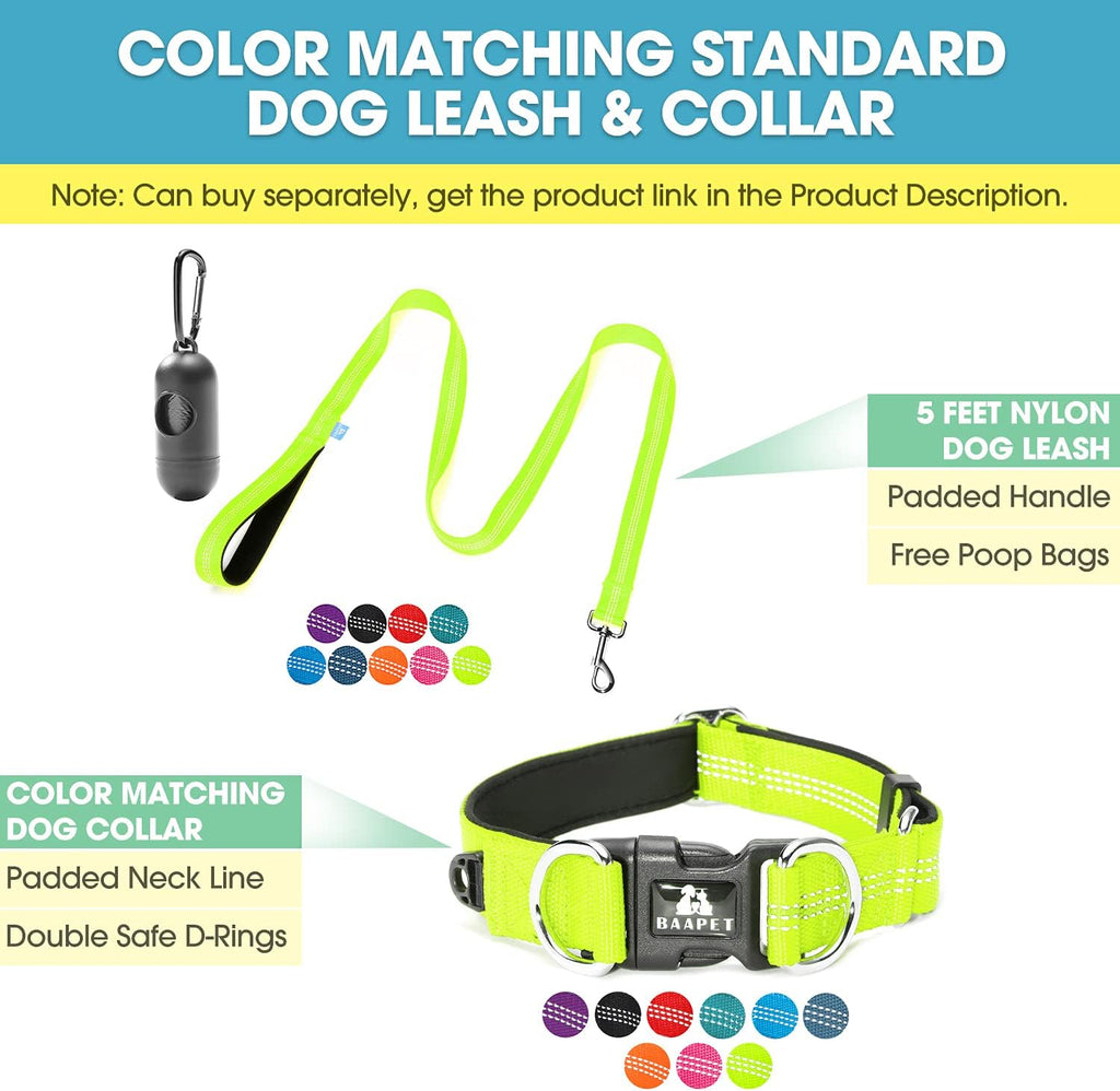 BAAPET Double Dog Leash Splitter, Tangle Free Dual Dog Leash Coupler, Two Dog Walking and Training Extension for Small Medium or Large Dogs (1.0'' X 20~32 Inch, Green)