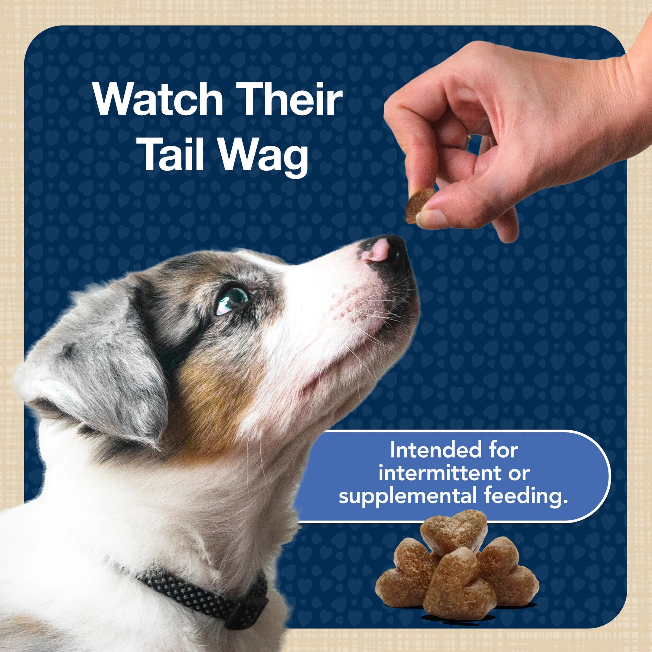 Bits Soft Dog Treats for Training, Enhanced with DHA, 11-Oz. Bag