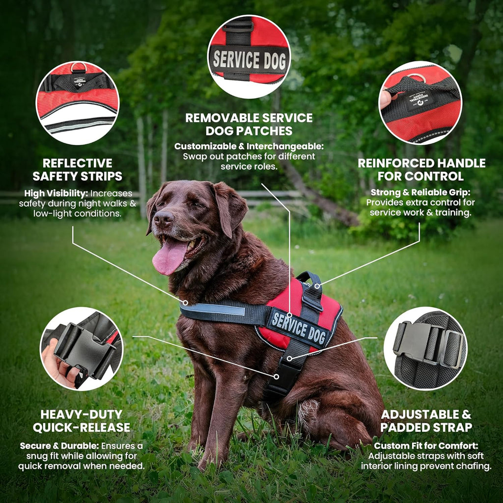 Industrial Puppy Service Dog Vest with Hook and Loop Straps & Matching Service Dog Leash Set - Harnesses from XXS to XXL - Harness Features Reflective Patch and Comfortable Mesh Design