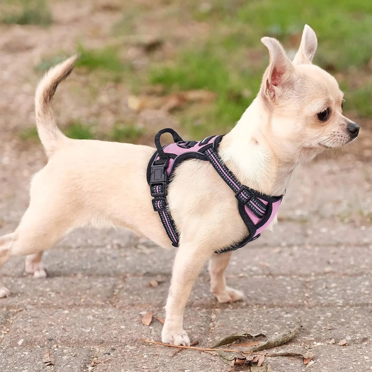 Dog Harness, No Pull Pet Harness with 2 Leash Clips, Adjustable Soft Padded Dog Vest, Reflective Outdoor Pet Oxford Vest with Easy Control Handle for Small Dogs, Pink