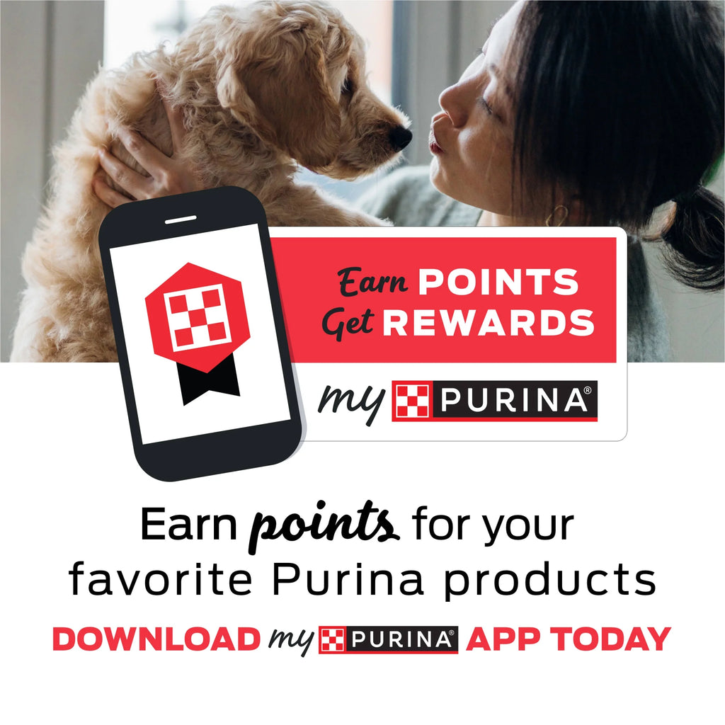 Purina  Baked Delights Snackers with Peanut Butter Flavor Soft Baked Treats for Dogs, 22 Oz.