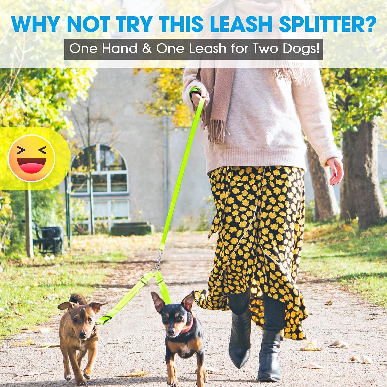 BAAPET Double Dog Leash Splitter, Tangle Free Dual Dog Leash Coupler, Two Dog Walking and Training Extension for Small Medium or Large Dogs (1.0'' X 20~32 Inch, Green)