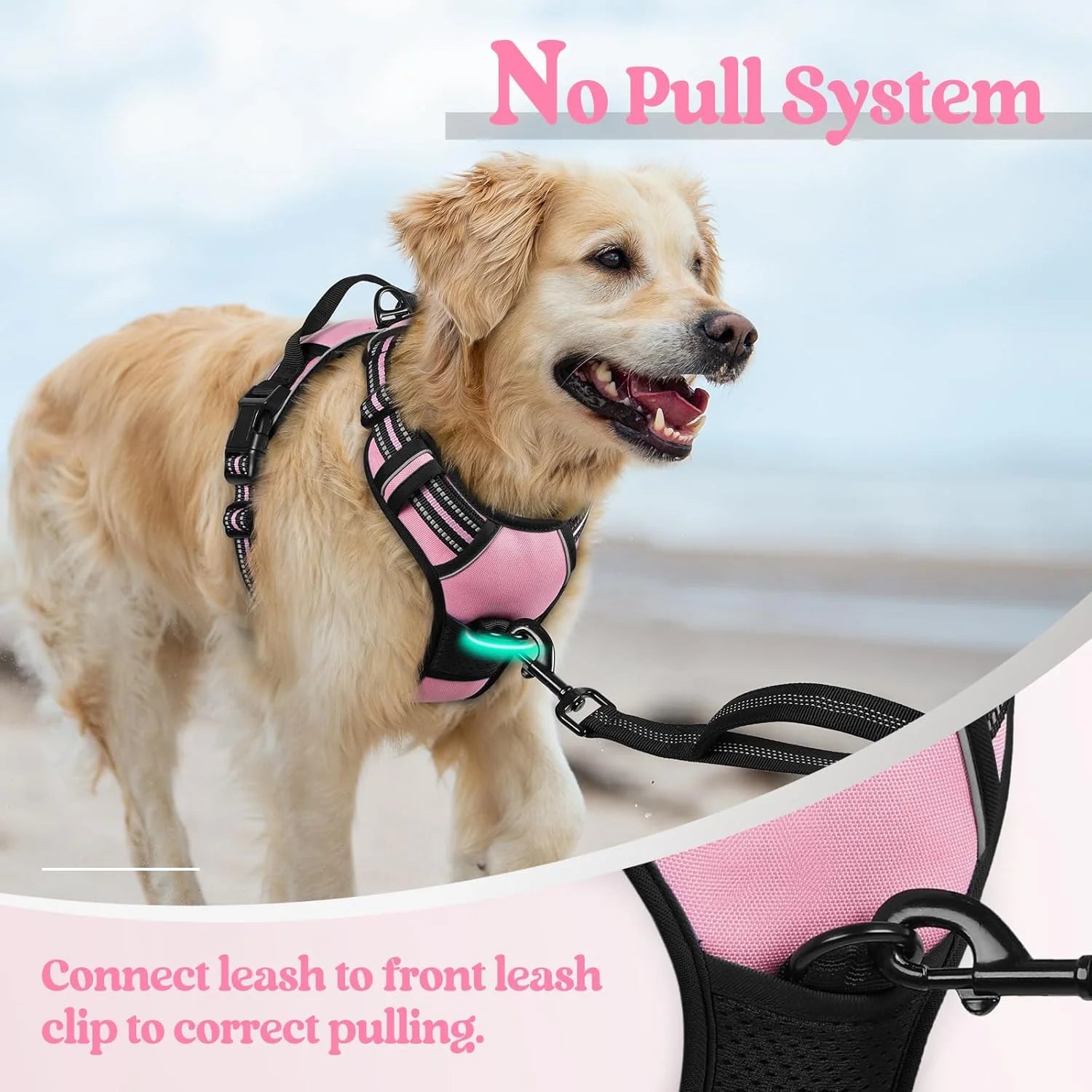 Dog Harness, No Pull Pet Harness with 2 Leash Clips, Adjustable Soft Padded Dog Vest, Reflective Outdoor Pet Oxford Vest with Easy Control Handle for Small Dogs, Pink